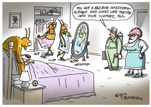 bed bugs comic