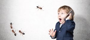 no foolin with poulin - ants and boy