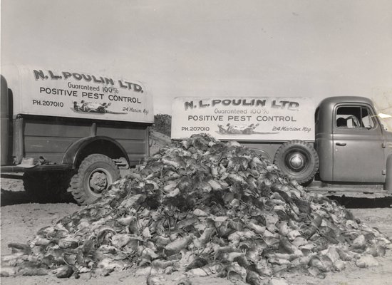 Alberta Rat Control in 1950s