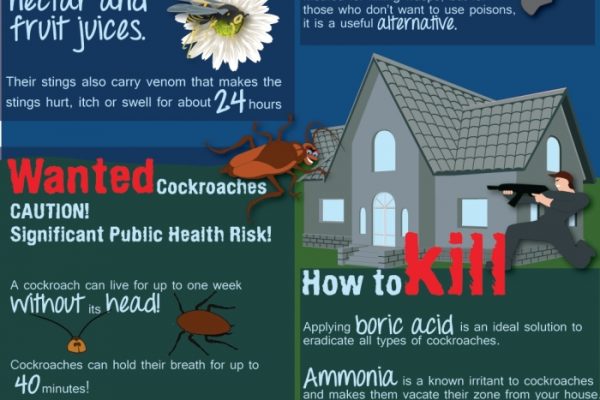 Kill The Household Mafias