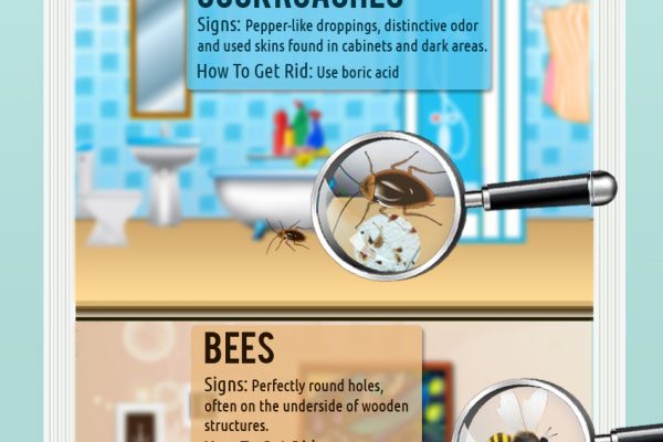7 Most Common Household Pests