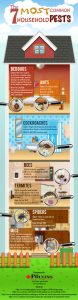 7 Common Household Pests