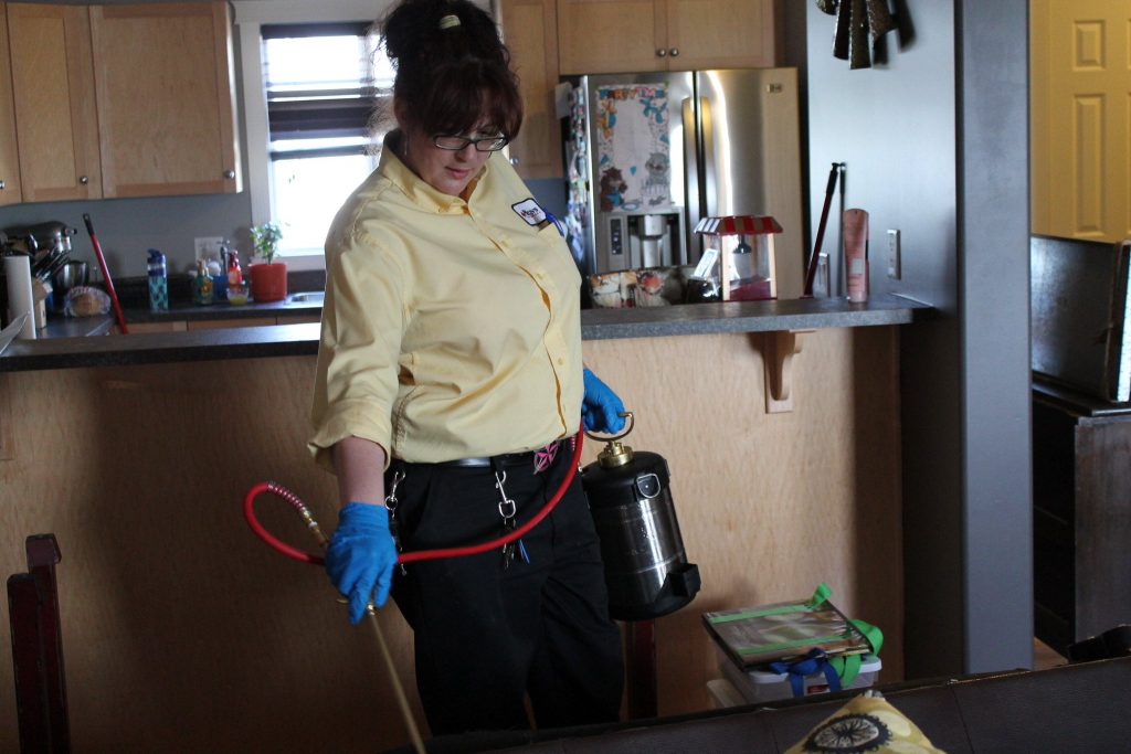 Edmonton Pest Control and Removal Services