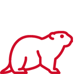 gopher