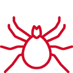 mite