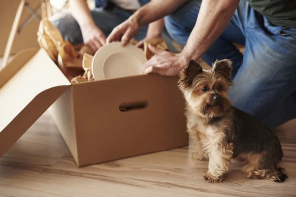 Don’t Let Pests Move in With You