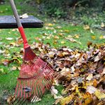 Raking leaves