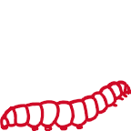 caterpillar