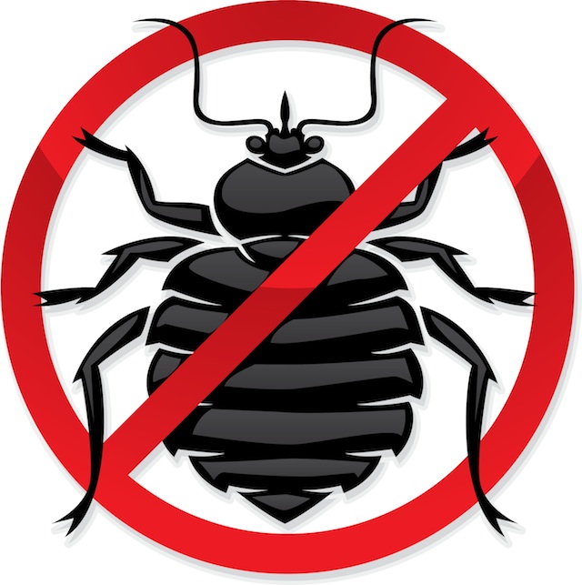 No bed bugs