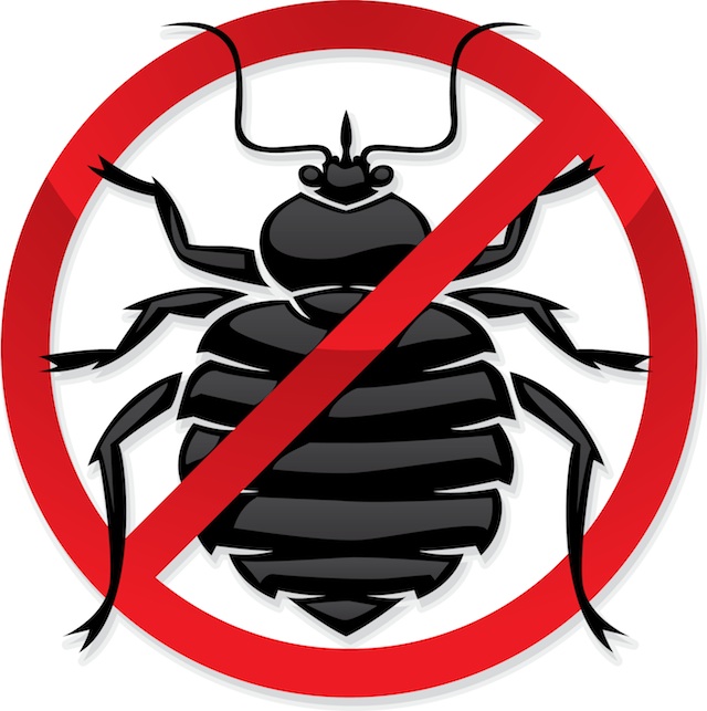 How to Use Bed Bug Covers (Bed Bug Elimination & Prevention) 