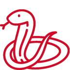 snake