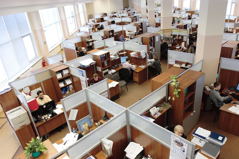 Bed Bugs in The Workplace: Dealing with Hitchhikers