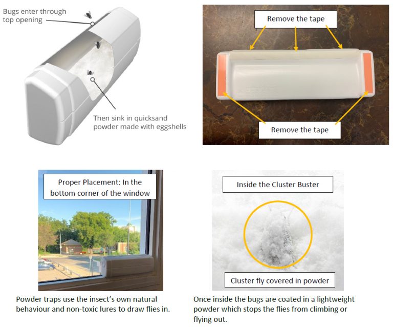 How To Use The Cluster Buster Poulin's Pest Control