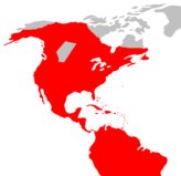 norway rat canada map