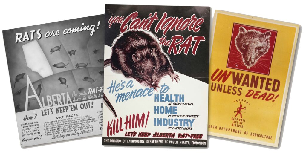 Rat Control Awareness Posters in Alberta 1950