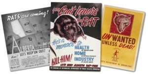 alberta-rat-control-posters