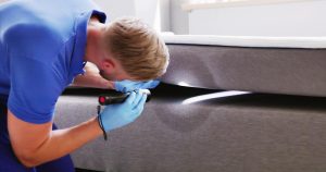A pest control professional looks for bed bugs underneath a mattress