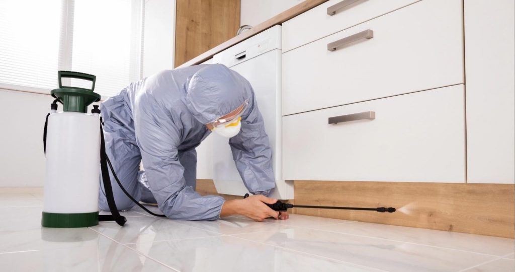 A professional pest control technician is working.