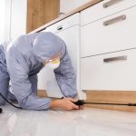 A professional pest control technician is working.